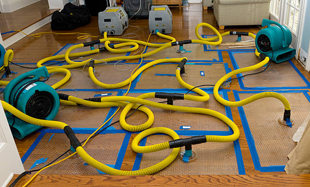 Professional Structural Drying And Dehumidification technician working in Acra, NY